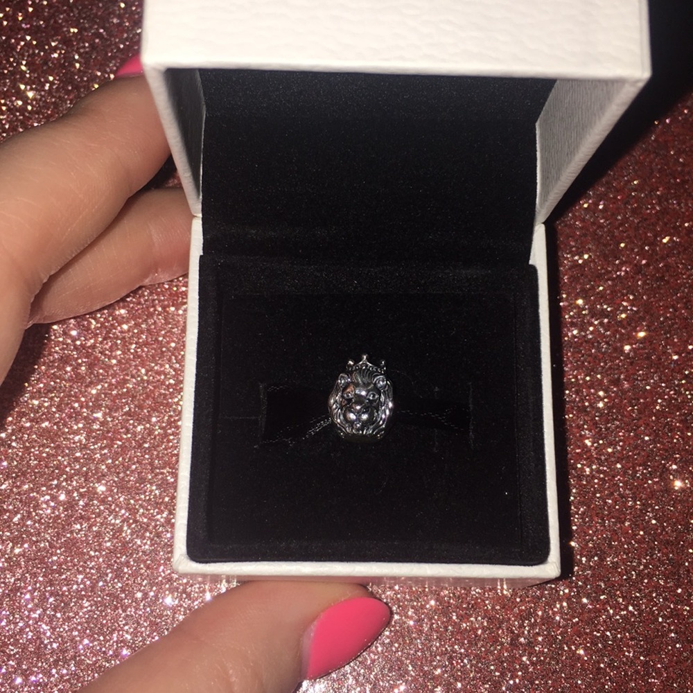 RETIRED PANDORA CHARM